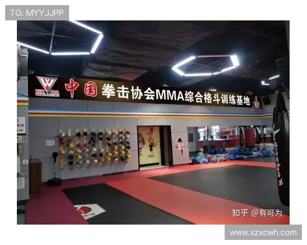 综合格斗竞技魅力与技术演进及未来发展趋势深度剖析全球格局变化